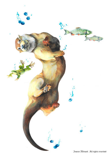 "Loutre"